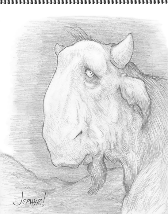 "Billy, Der Vunder Bison; - Pencil Drawing - Copyright 2019, Jephyr (Jeff Curtis), All Rights Reserved